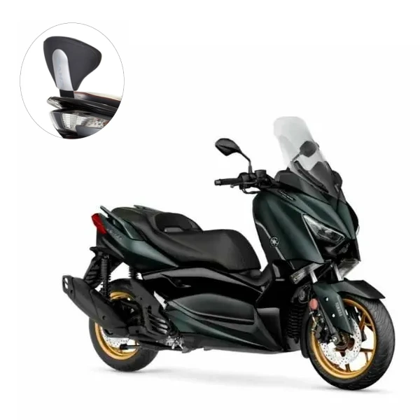 Electric scooter rental Xiaomi Mi Pro 12