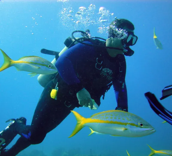 Hacer buceo en Gran Canaria