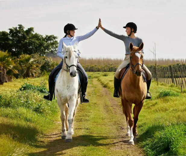 Paseo a caballo en Gran Canaria excursiones